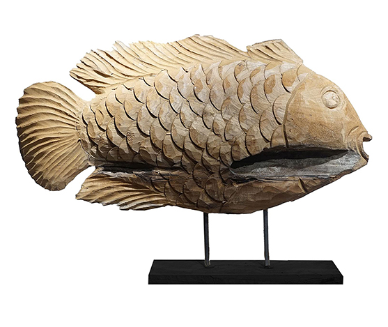 Fish 60/65 cm