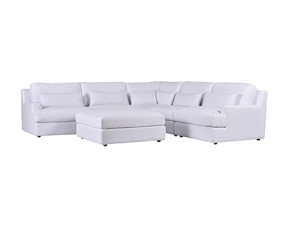 W-pnb-sn-0048-r