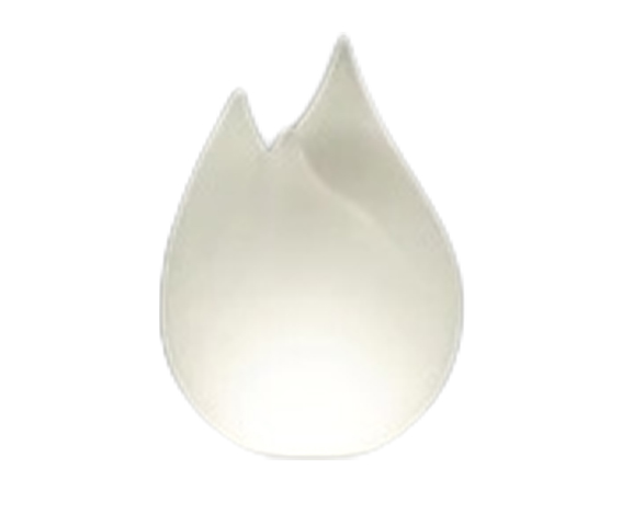 ro flame/l nt
