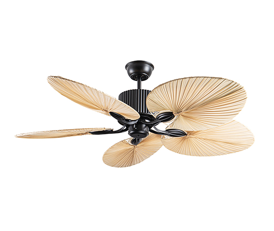 168125 rattan
